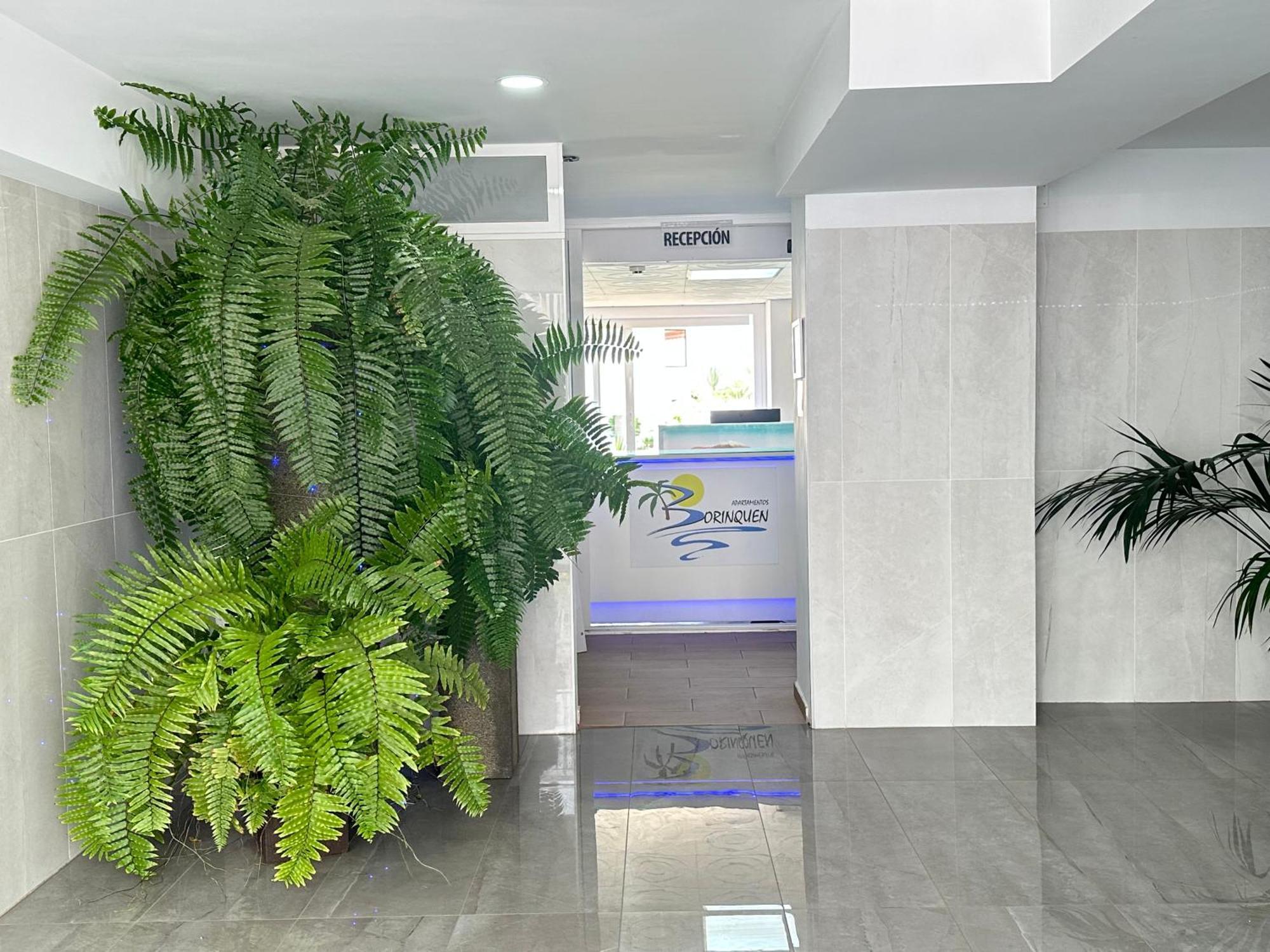 Apartamentos Borinquen Playa de las Américas Dış mekan fotoğraf